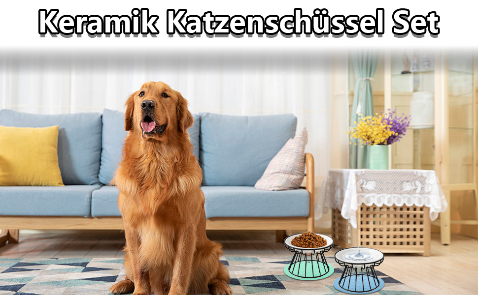 Набір мисок для котів 2 шт. з піднятою платформою, металевий каркас, анти-блювотні миски для котів та кошенят