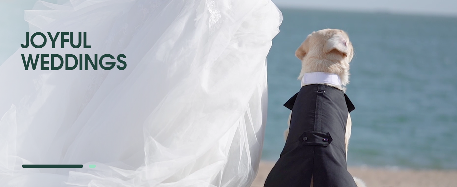 Костюм для собак Kuoser з банданою, теплий халат для собак з кріпленням для краватки, костюм для цуценят для собак, сорочка для вечірки на День народження, Хелловін, весілля, S-XXL, довжина спини M: 35 см, чорний