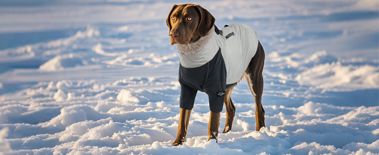 Тепла зимова куртка для собак великих порід XXL, водонепроникна, з капюшоном, кишені, блискавка, шнурок, D-Ring, кашмір