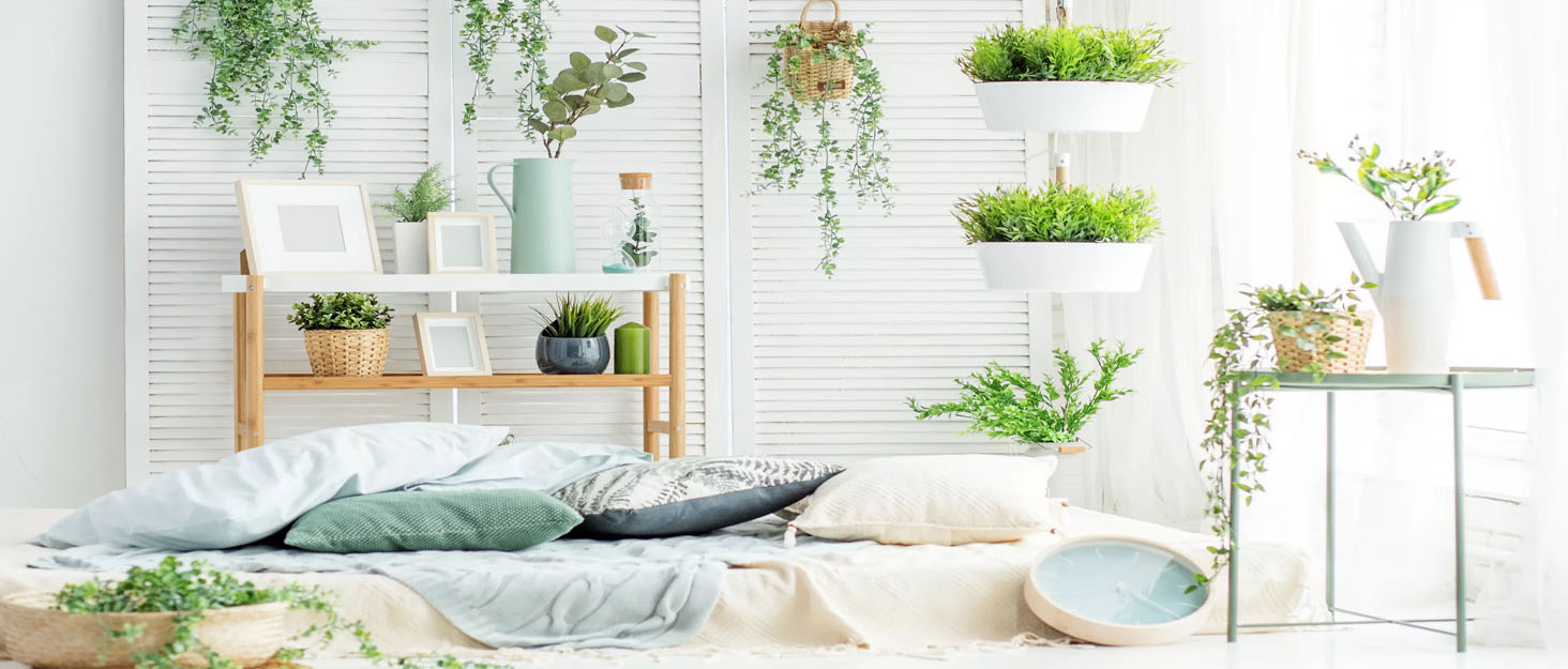 Набір професійних ножиць для грумінгу собак, нержавіюча сталь, для дому та салону