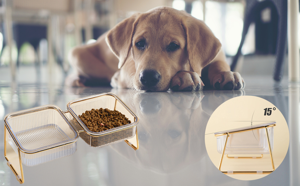 Миска для котів KMERCE з нахилом 15°, піднята миска для корму, аксесуари для котів, миски для корму для маленьких та середніх котів та собак, подвійна миска, неслизька основа, стильний дизайн INS