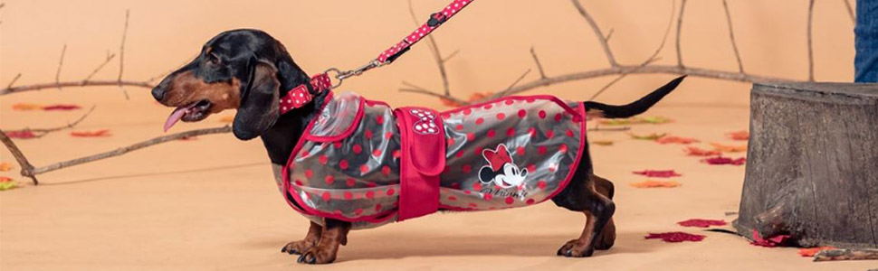 Дощовик для собак Minnie Mouse від Cerdá - офіційна ліцензія Disney, водонепроникний, багатокольоровий