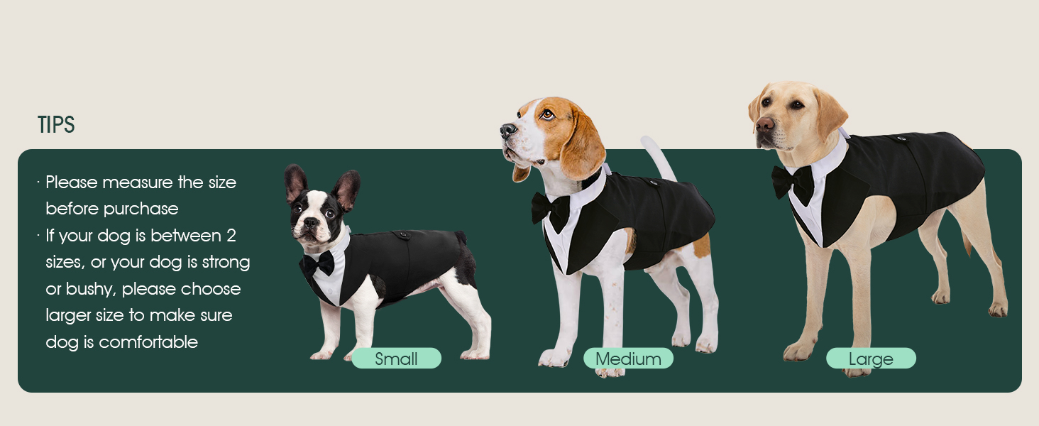 Костюм для собак Kuoser з банданою, теплий халат для собак з кріпленням для краватки, костюм для цуценят для собак, сорочка для вечірки на День народження, Хелловін, весілля, S-XXL, довжина спини M: 35 см, чорний