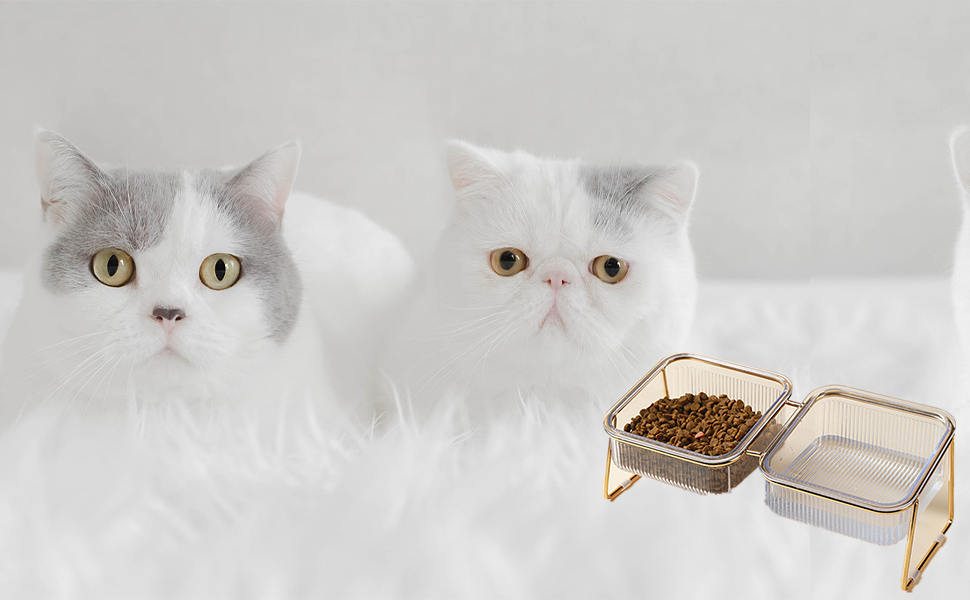 Миска для котів KMERCE з нахилом 15°, піднята миска для корму, аксесуари для котів, миски для корму для маленьких та середніх котів та собак, подвійна миска, неслизька основа, стильний дизайн INS