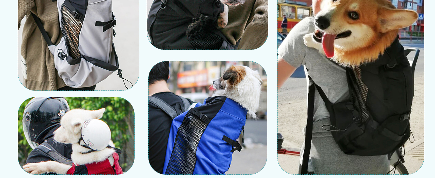PETCUTE Рюкзак-переноска для собак і котів, чорний, до 3 кг