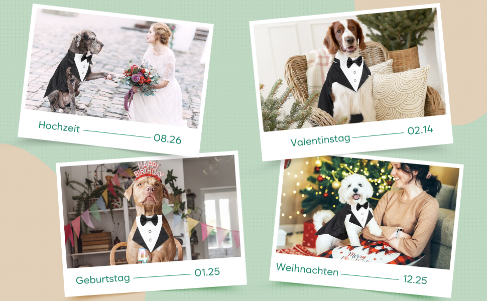 Елегантний костюм для собак Illumifun з краваткою та банданою, комплект для святкування, смокінг, жилет, сорочка, костюм для домашніх тварин знімний комірець (M)