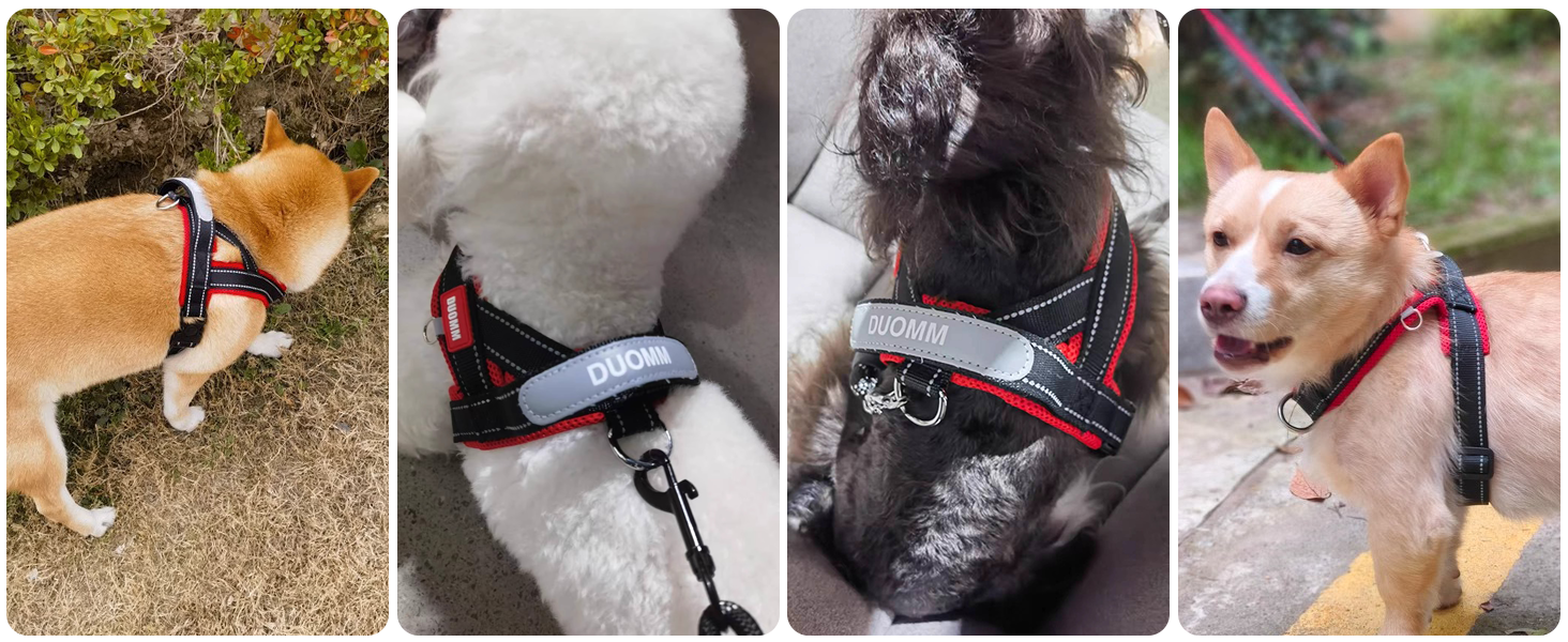 Нашийник для собак середніх та маленьких порід з повідком, кольоровий, сітка, м'який, з ручкою та кільцем, світловідбиваючий, легкий, чорно-сірий, розмір M