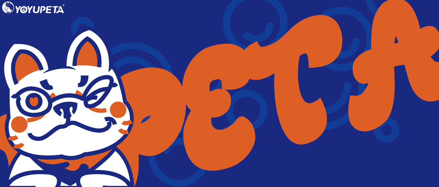 Набір щіток та гребінців Slicker для великих собак з довгою шерстю – щітка для розплутування з пінами 22 мм для Голден Ретріверів, Пуделів, Дудлів та котів – професійний догляд за шерстю з дерев'яною ручкою та шкіряним чохлом. Покриття лаком.