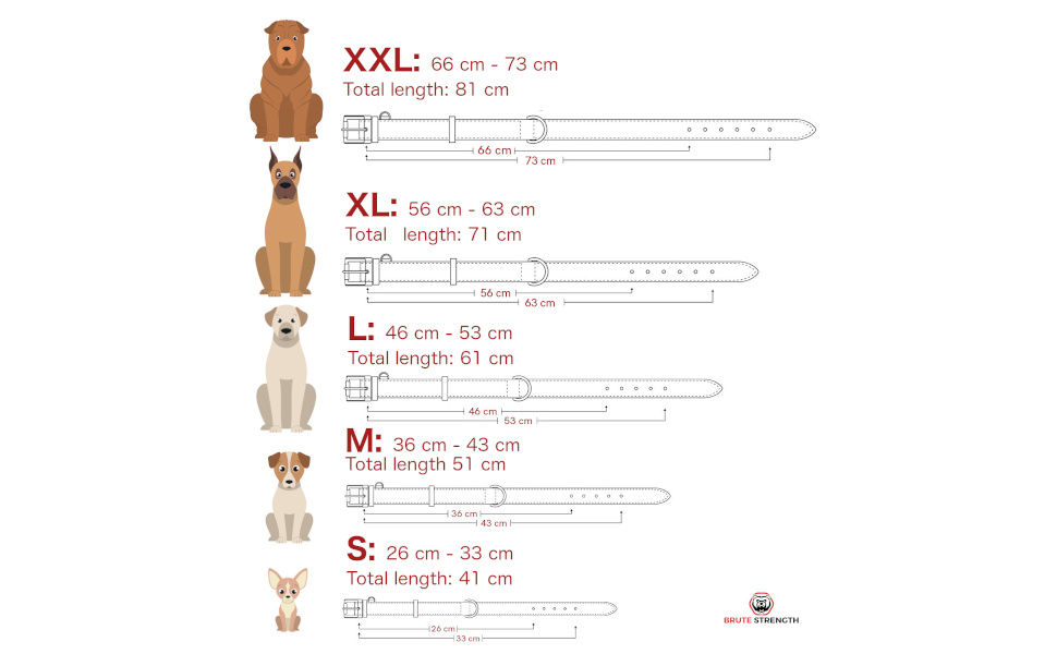 Стійкий нашийник для собак Brute Strength з натуральної шкіри, світло-сірий, розмір M (36-43 см)