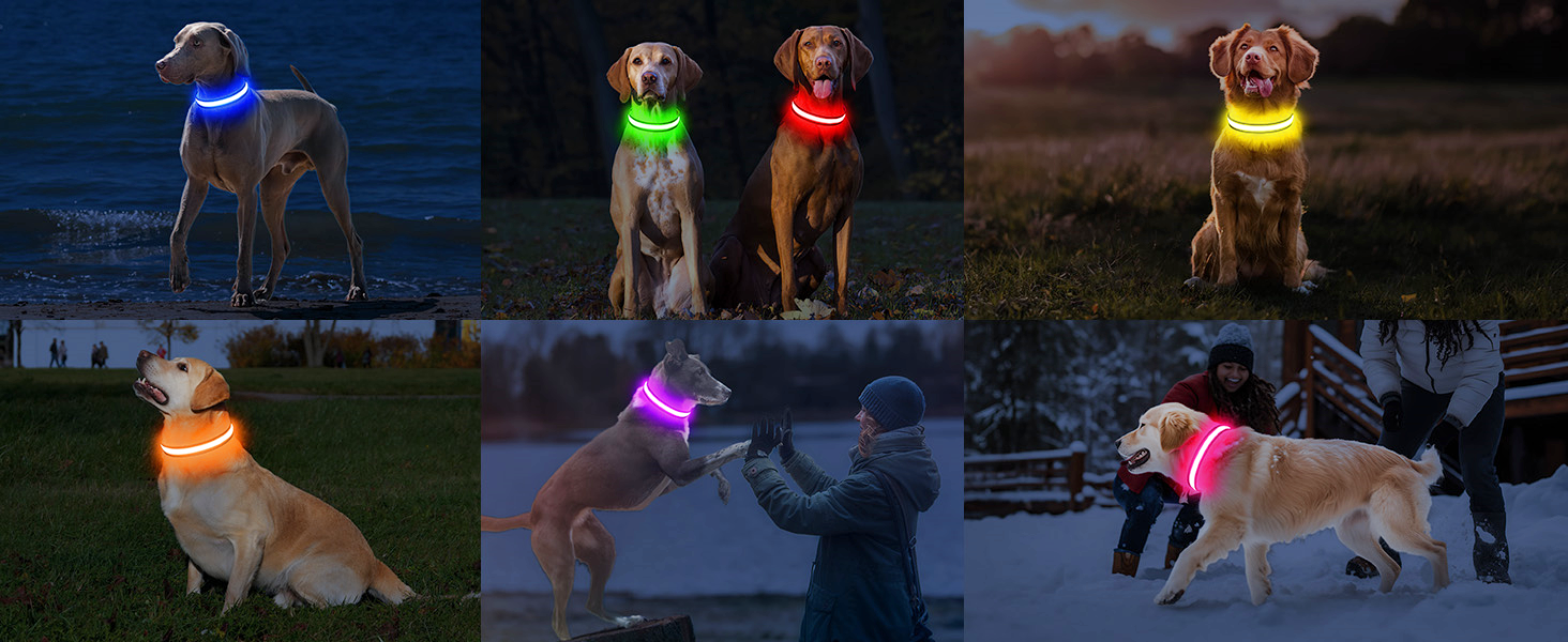 Світлодіодне нашийник для собак Leuchthalsband PcEoTllar, водонепроникний, 7 кольорів, регульований, для маленьких та великих собак, чорний (зелений, S)
