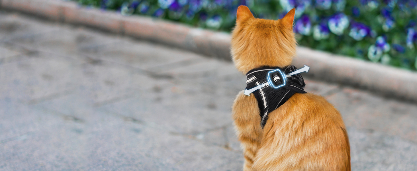 Шлейка для котів Rabbitgoo з повідком, чорна, M (XL, 1 шт.)