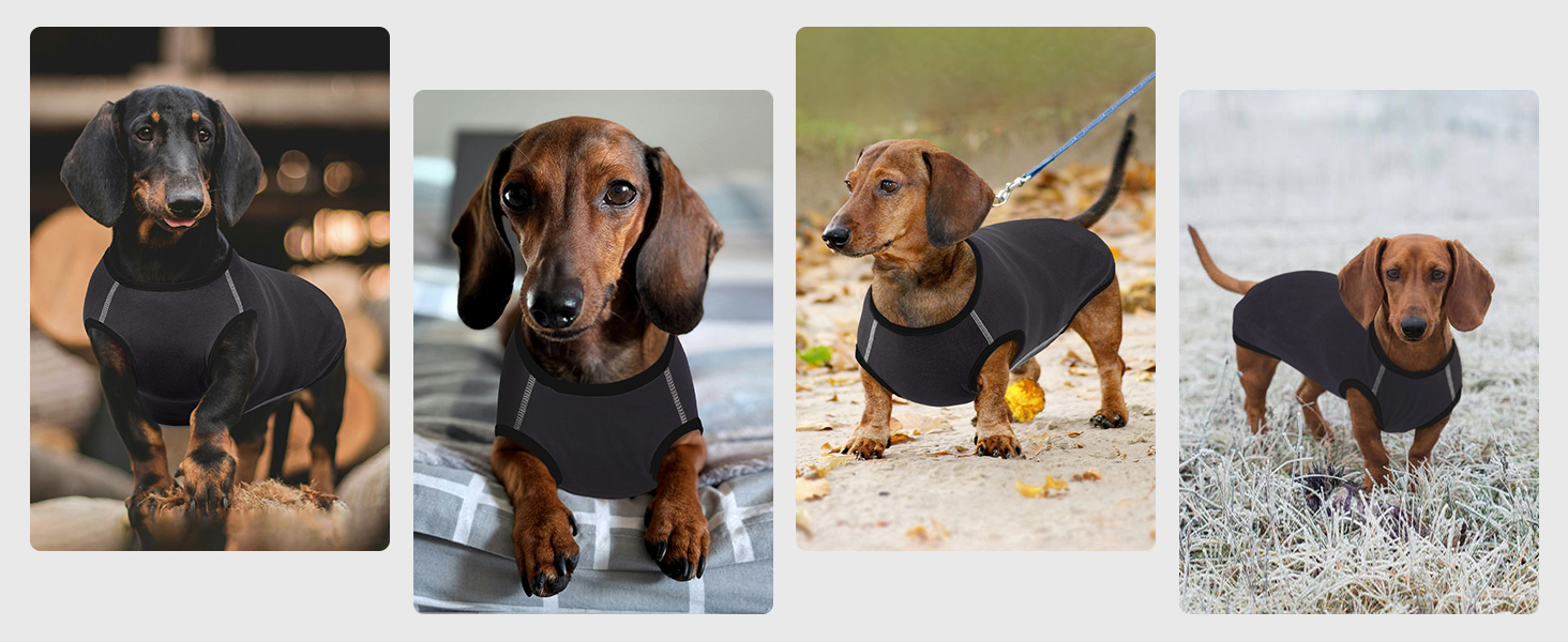 Теплий флісовий пуловер для собак Hjyokuso Dackel L - для великих собак, сірий, універсальний