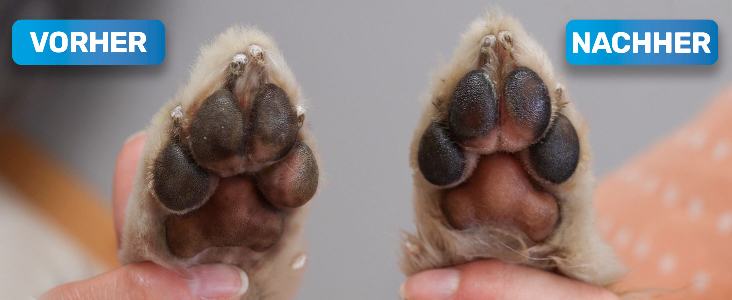 BluePet Очищувач для лап собак - видаляє бруд та сміття I З мікрофібровою рукавичкою I PfotenBlitz Розмір L (глибоке очищення, догляд за лапами)