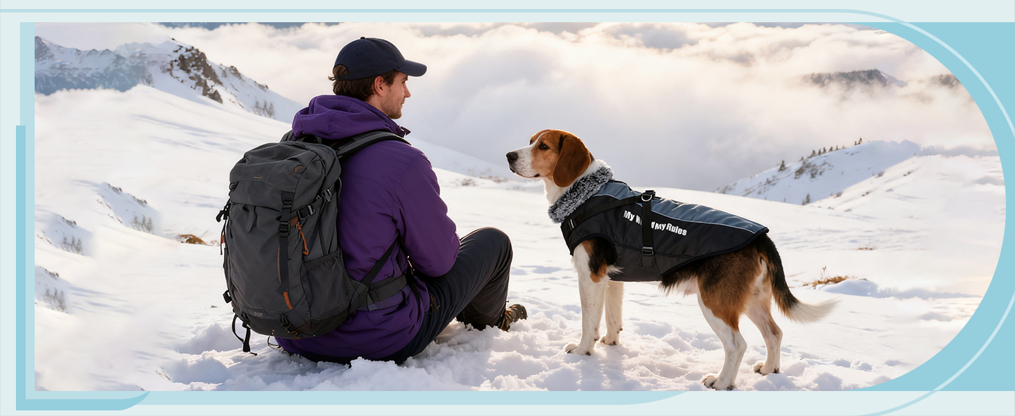 Водонепроникний теплий зимовий одяг для собак ALLSOPETS - куртка з відбиваючими смугами, стильна жилетка для холодної погоди (Blendblau, 3XL)