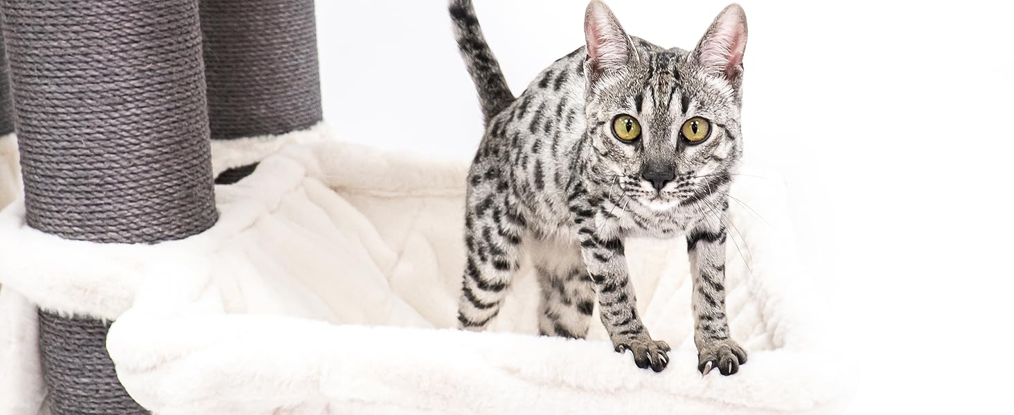 Дряпак для котів Petrebels Skyline XXL, 186 см, для великих котів (Мейн-кун), колір - off-white