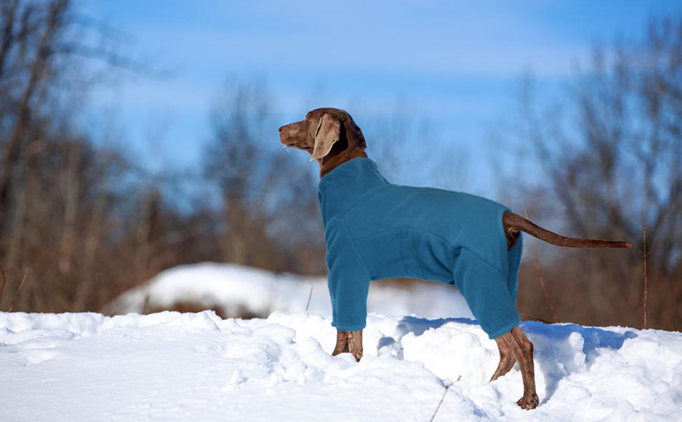 Зимовий одяг для собак: теплий флісовий пуловер для малих, середніх та великих собак. Вітростійкий одяг для тварин з блискавкою. Підійде для Чихуахуа (XXS-3XL). XL, блакитний