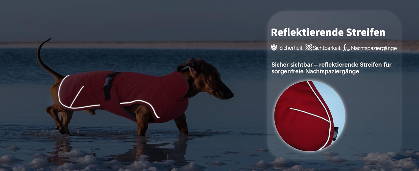 Зимовий теплий накид для такси, чорний L. Водонепроникний, з захистом живота та отвором для повідка. Ідеальний для великих собак.