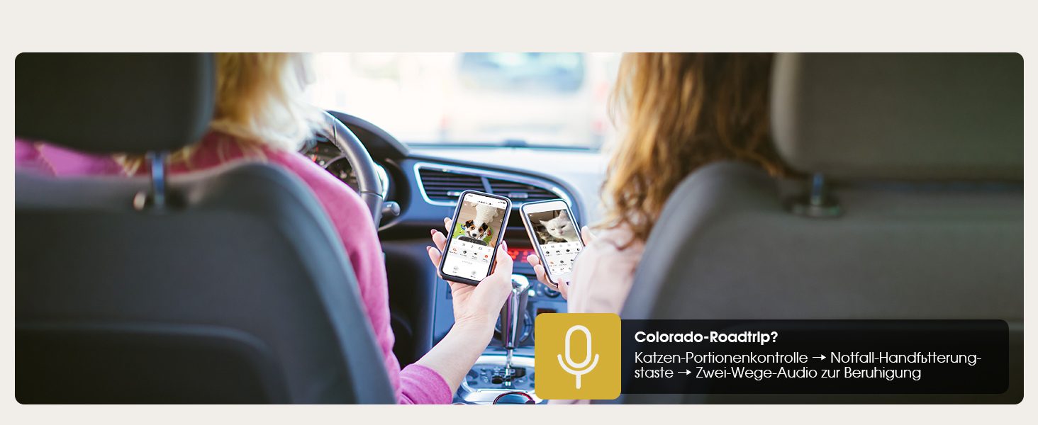 Автоматичний годівниця для котів з таймером: зручний та надійний автодозатор корму