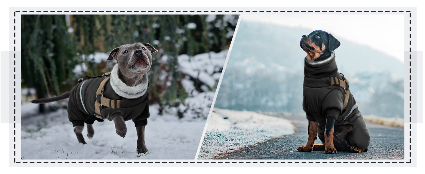 Зимовий теплий одяг для собак S, куртка для маленьких собак, теплий костюм для чихуахуа та бульдога (чорний, S)