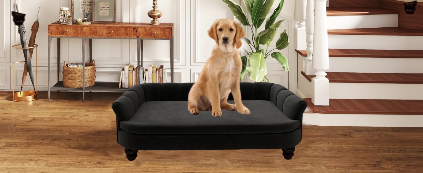 Диванчик для собак SEYNAR: зручний лежак для великих та середніх собак, м'яке велюрове покриття, міцні собачі меблі для вітальні, миється, чорний колір