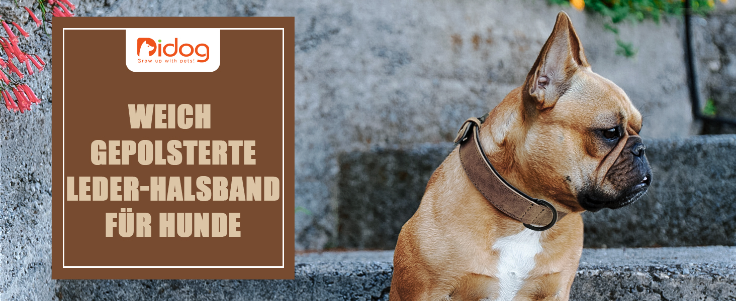 Нашийник для собак Didog з м'якої шкіри, дихаючий, міцний, з регульованою металевою застібкою, зелений, L, 33-43 см, 10-20 кг