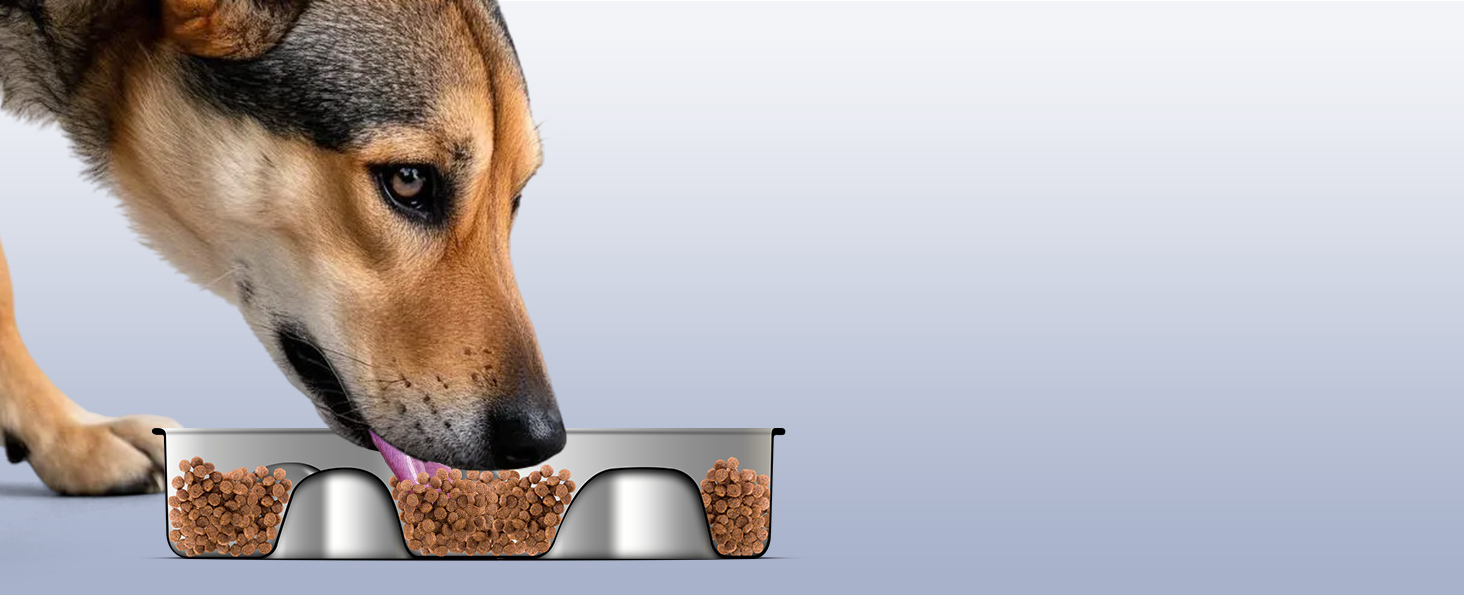 PETTOM Миска для собак протиковтання, нержавіюча сталь, Ø21 см, велика, повільне годування 21*21*4 см