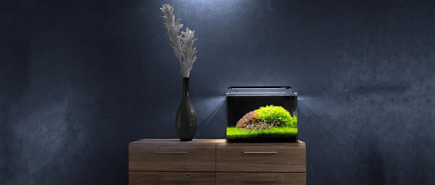 Dennerle Nano Cube Basic 30 л – Міні-акваріум із заокругленим переднім склом