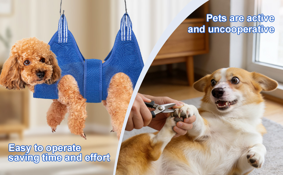 Набір для догляду за тваринами: гамак, пристосування для грумінгу, інструменти для стрижки нігтів (синій, M)