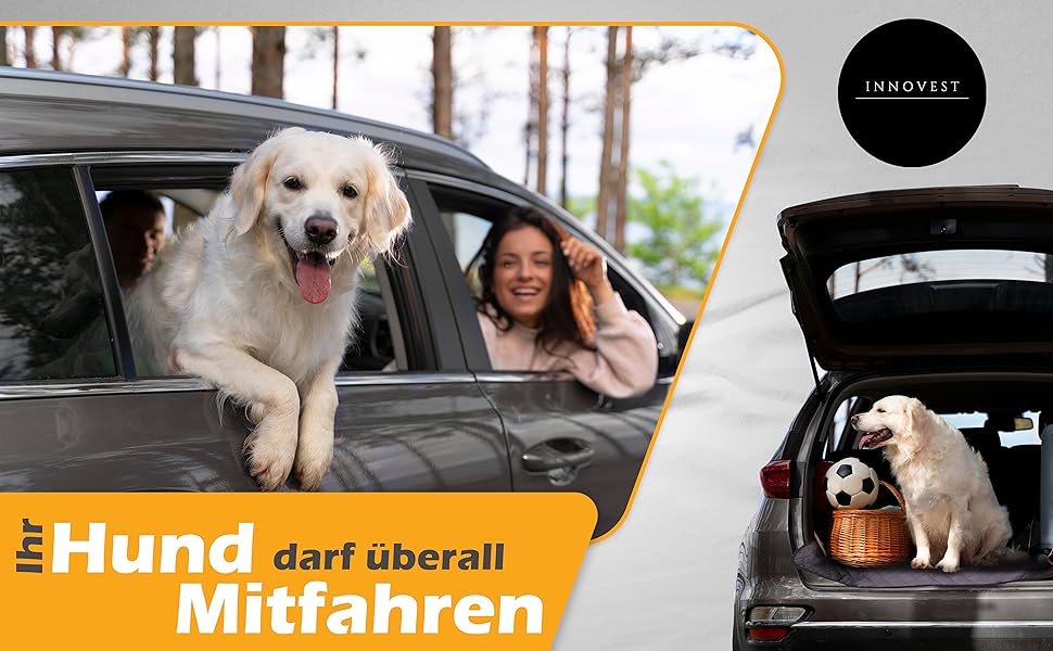 Накидка для собак у машину – захист заднього сидіння, автокилим для собак, килимок у багажник для подорожей та перевезень