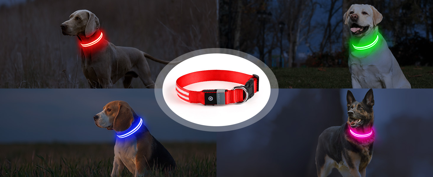 Світлодіодний нашийник для собак Leuchthalsband PcEoTllar, зарядний, 3 режими світіння, водонепроникний, регульований, для малих, середніх та великих собак, блакитний (TC5000), L (48-60 см)
