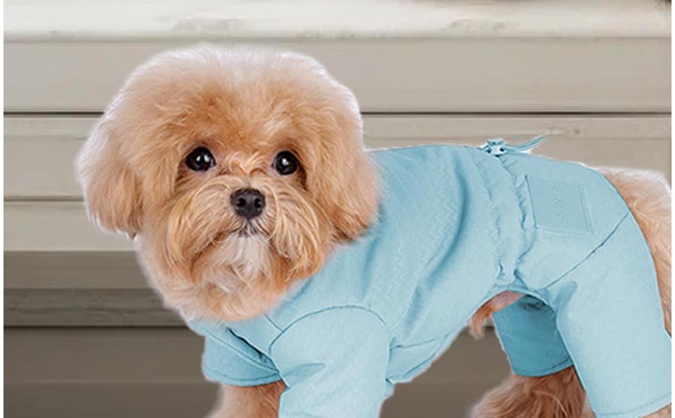 Зимова куртка для собак, тепла флісова куртка для маленьких собак, блакитна, 2XL