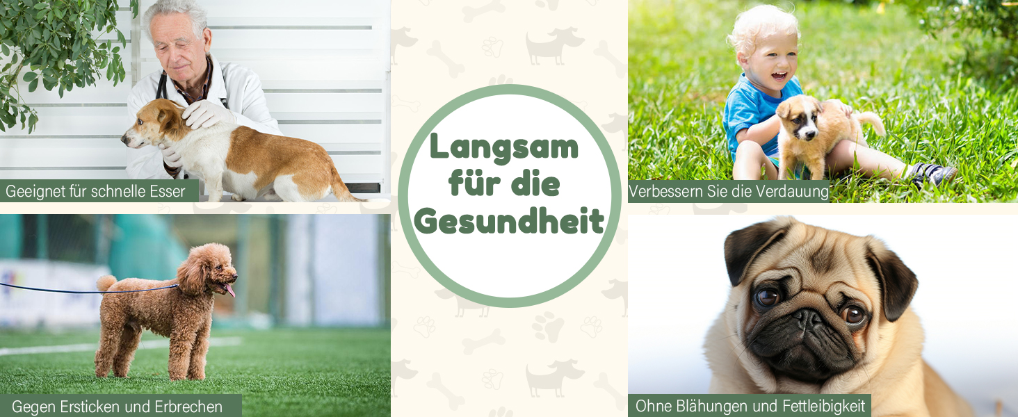 Набір мисок для собак з кераміки, піднятий на платформі - миски для повільного годування, набір з двох мисок для маленьких та середніх собак, годівниця та миска для води з неслизьким підставкою, середньо-зелений колір