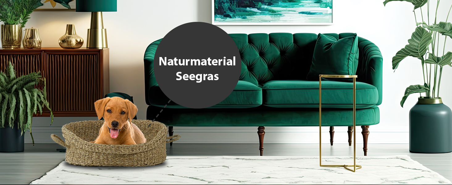 Корзина для собак Rohrschneider з ручками для маленьких та середніх собак | Ручна плетіння з морської трави, посилений високий борт | Знімний, пральний чохол | Розмір 1 (51 x 43 см)