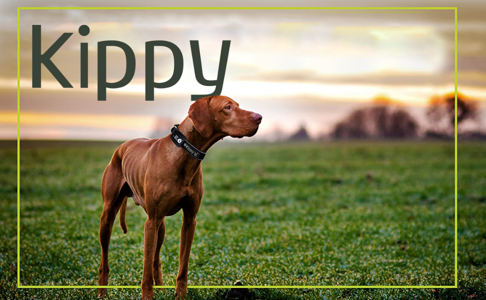 Нашийник для собак Кіппі EVO з GPS-кишенею, світловідбиваючим елементом, розмір S. М'який, зручний, водонепроникний нашийник для маленьких собак