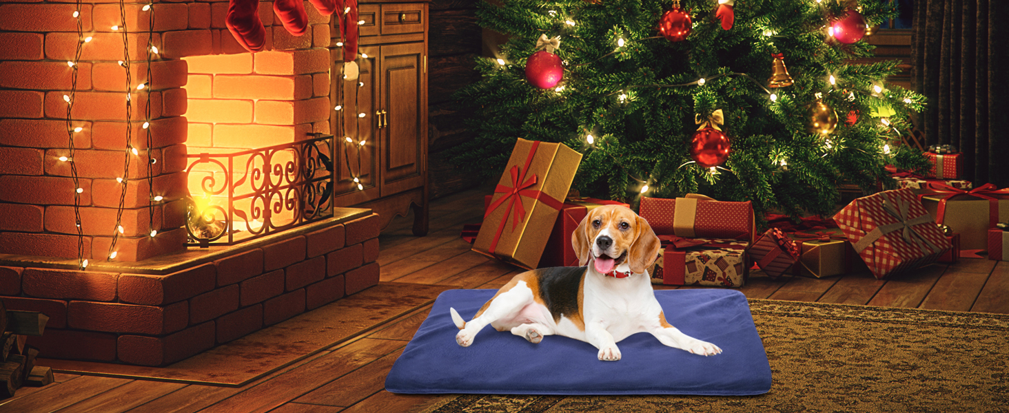 Електричний нагрівальний килимок для собак та котів RIOGOO, 55x45 см, з автовимкненням