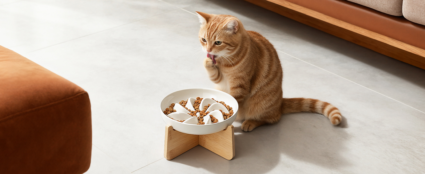 PETTOM Миска для котів протиковзаюча піднята, керамічна миска для котів, повільна годівниця для котів, миска протиковзання для котів та маленьких собак, біла миска + підставка (миска біла-квітка + підставка)