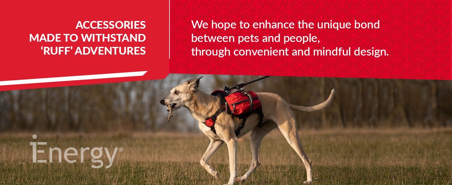 iEnergy™ MAL Hunderucksack: Водонепроникний рюкзак для собак – зручний та добре об'ємний для походів (маленький)