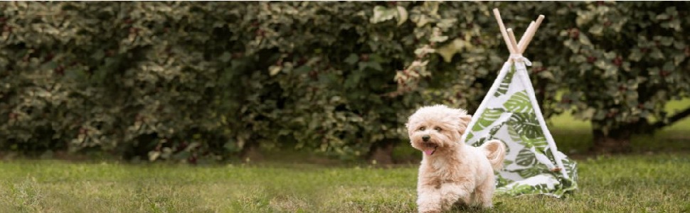 Зимовий теплий одяг для собак Croci Montreal, водонепроникна куртка, розмір 40 см, коричневий, багатокольоровий