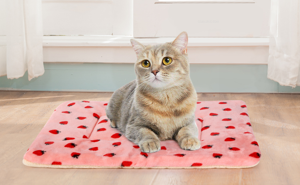 М'яка килимок для переноски собак Kaket, 80x60 см, сірий, для середніх собак та котів