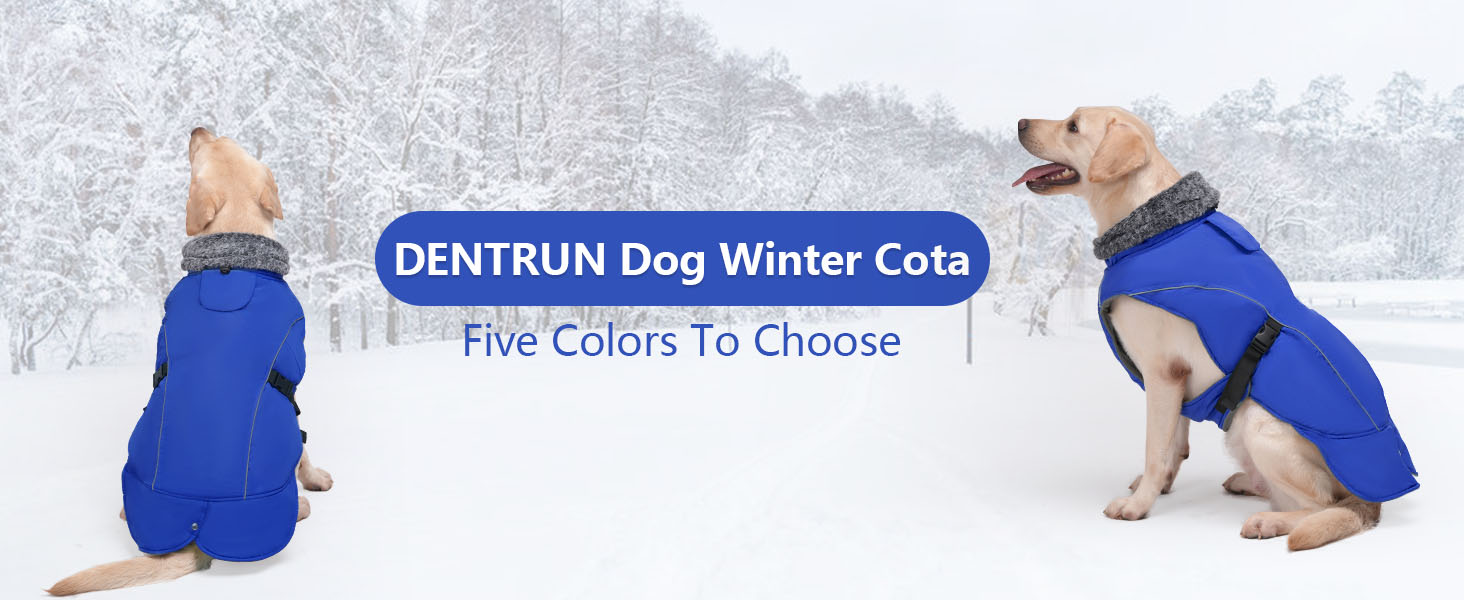 Водонепроникний теплий зимовий одяг для собак DENTRUN, флісова підкладка, куртка для собак середнього розміру (Синій, M)