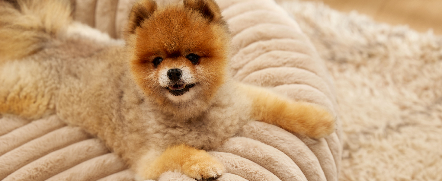 BEDSURE Ортопедичне ліжко для котів - м'яке кільце 51x51x15 см, кругле котяче ліжко з знімним чохлом з корду флісу, неслизьке дно, темно-сірий колір