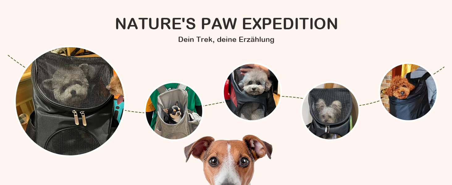 Рюкзак для котів та маленьких собак ALLSOPETS, переноска для тварин з прозорою верхньою частиною, складний, для подорожей (Світло-блакитний, S)