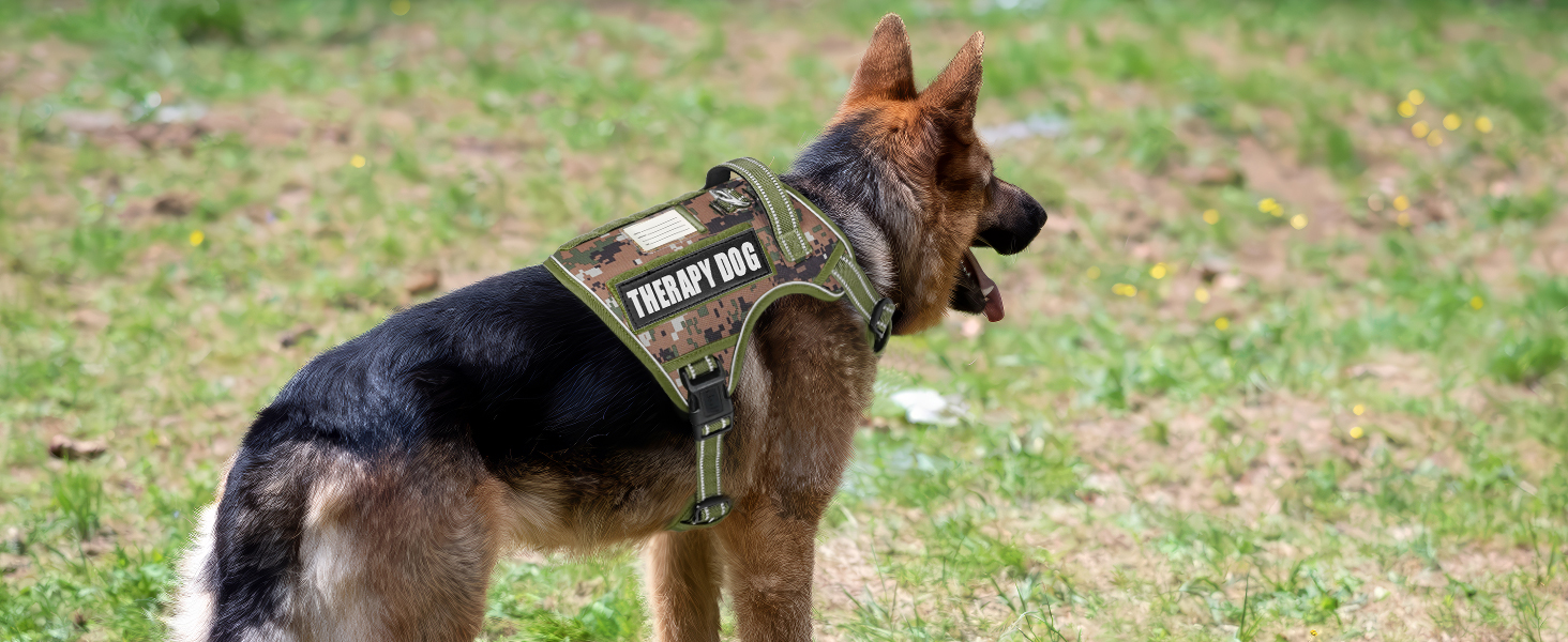 Тактичне обіднє нашийник для собак HEELE, MOLLE, камуфляжний, зелений, для службових собак