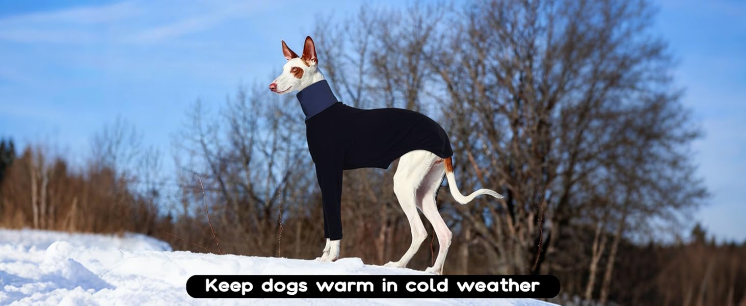 Теплий плед-пуловер для Whippet, Greyhound та інших породистих собак. Плед-пуловер, тепла піджака для собак, фліс, піжама для собак (оливковий, чорний, XL)