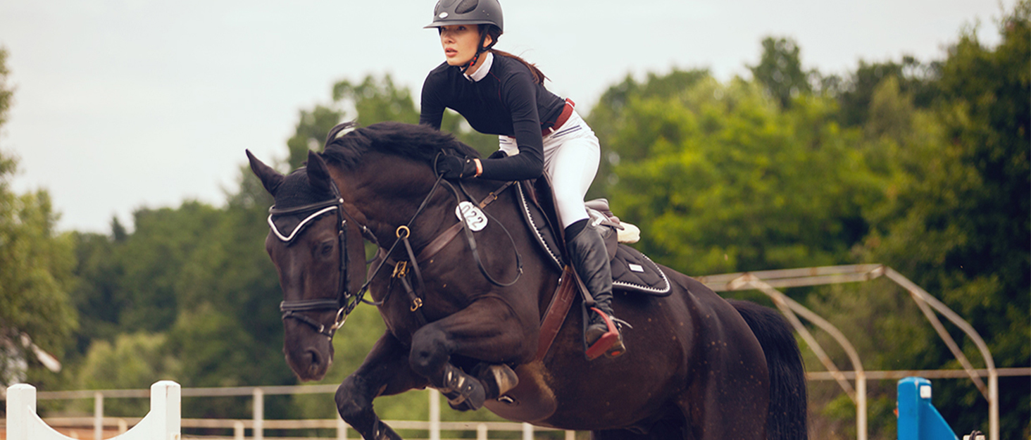 Легінси для верхової їзди FitsT4 для жінок, сірі, з силіконовою підкладкою, кишенею для телефону та петлями для ременя (розмір M)