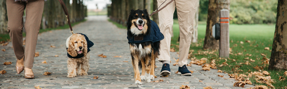 Зимовий теплий одяг для собак Kentucky Hundemantel, темно-зелений, XL, 60-70 см