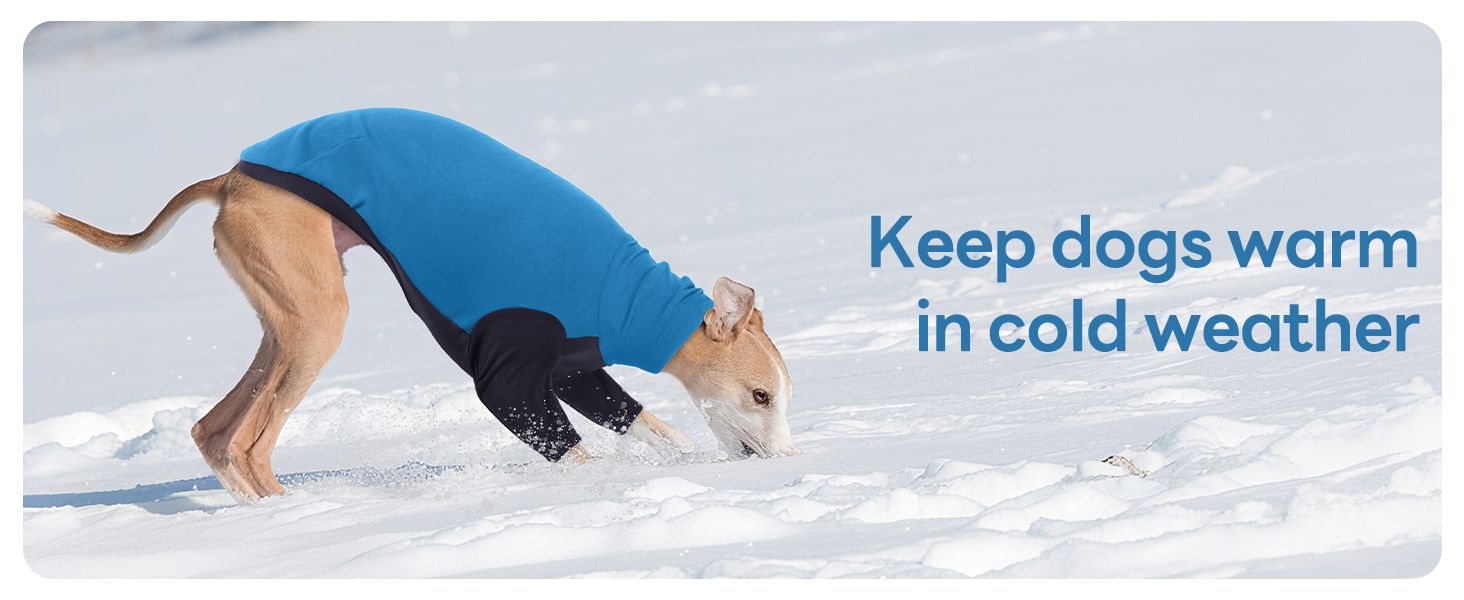 Пуловер з коміром-стійкою для породи Віндхаунд, теплий зимовий пуловер для Віндхаундів, куртка для Лурчерів, пуловер для собак середнього розміру, собачий світшот (Синій, M) M Синій