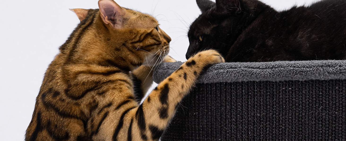 Petrebels Дряпка для котів - дряпка-домик, 110 см, чорна