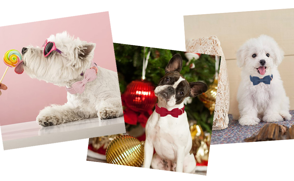 Нашийник для собак Aring PET на Різдво, червоний бавовняний нашийник з бантиком, милий нашийник з метеликом, подарунок для собак з металевою застібкою, для маленьких, середніх та великих собак, L, червоний