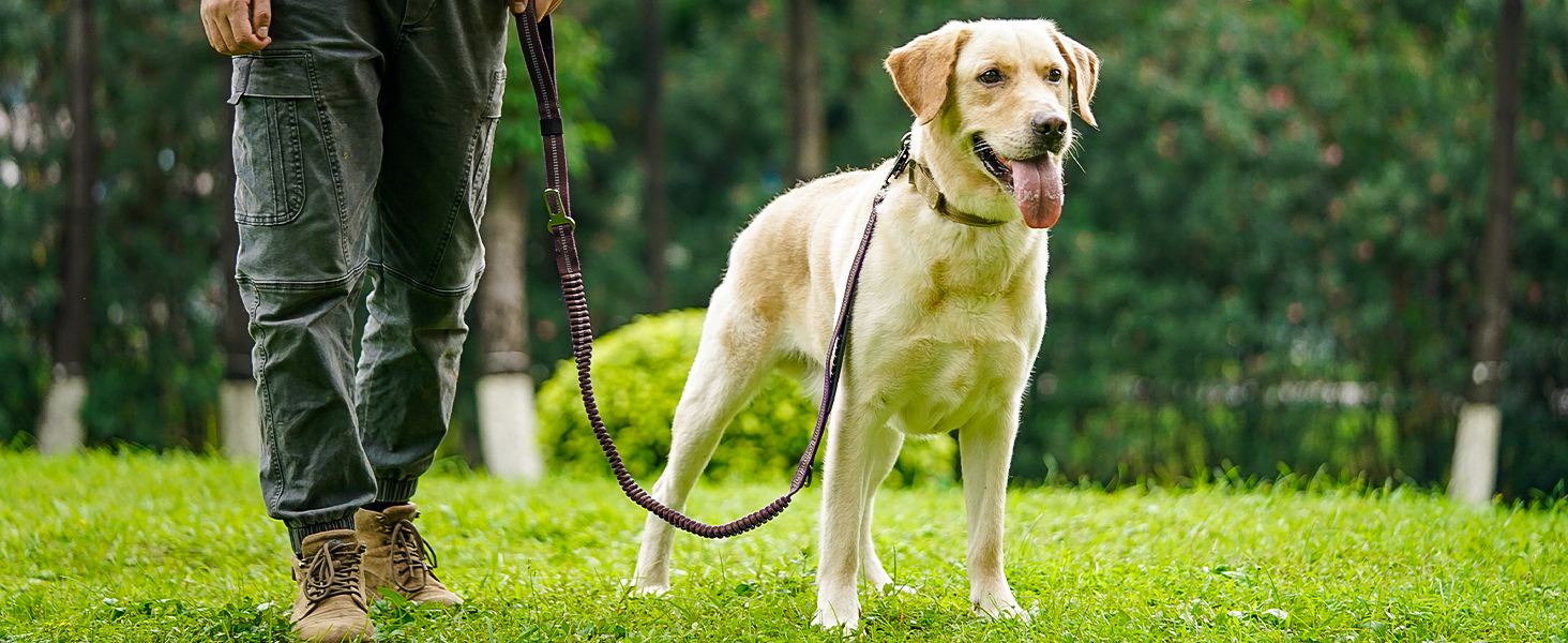 Тактична повідок для собак Joytale, еластична повідок з 2 м'якими ручками, страхувальний ремінь для автомобіля, повідок без ривка для собак середніх, великих та екстра-великих порід (1.2м-1.8м, коричнева)